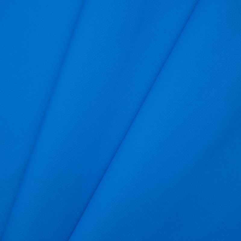 ЛАЗУРЬ №1209