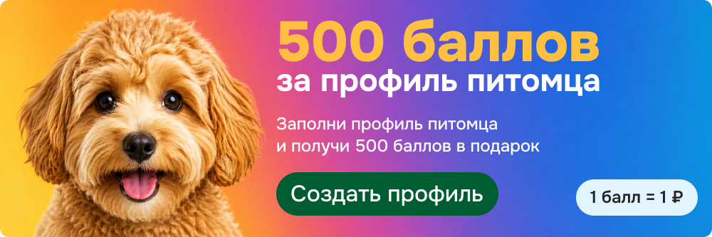 Баллы за профиль питомца